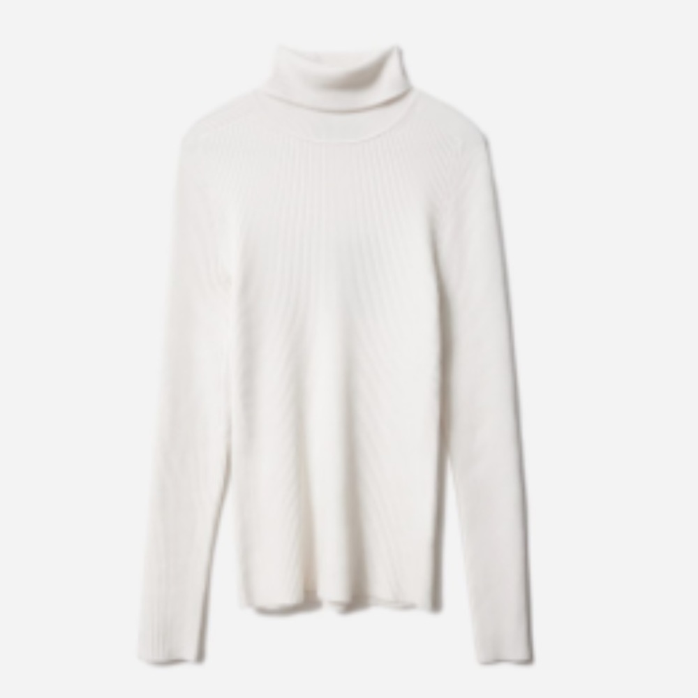 Everlane The Italian Merino Rib Turtleneck in Bone XS